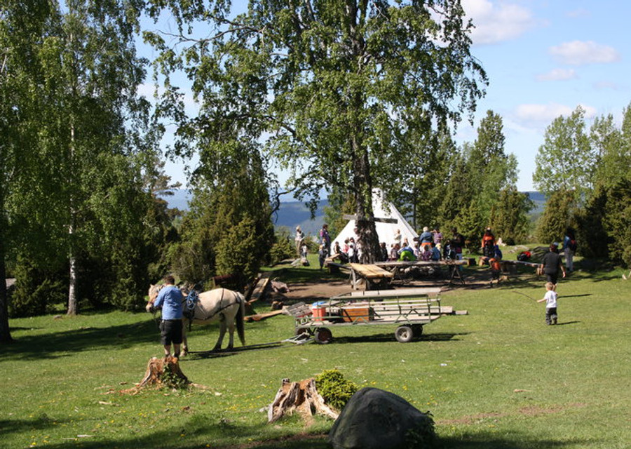 Gjester i aktivitet ute på gården