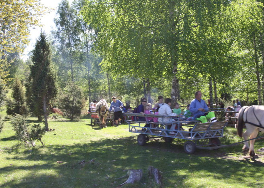 Gruppe ved langbord i lunden