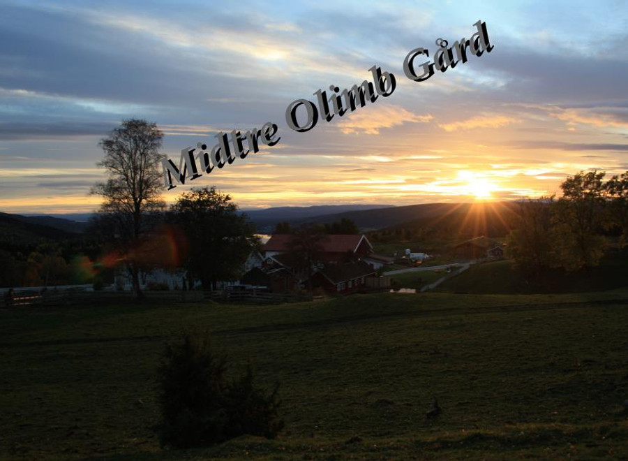 Solnedgang over gården