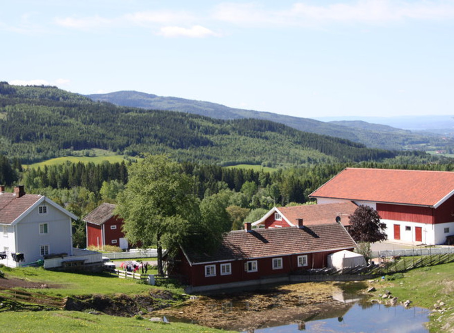 Utsikt over dalen